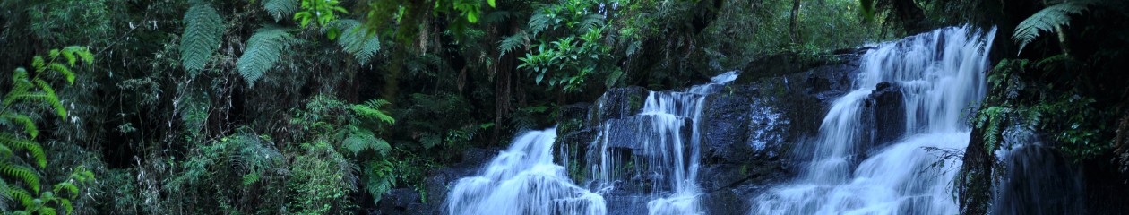 WHERE PEACEFUL WATERS FLOW